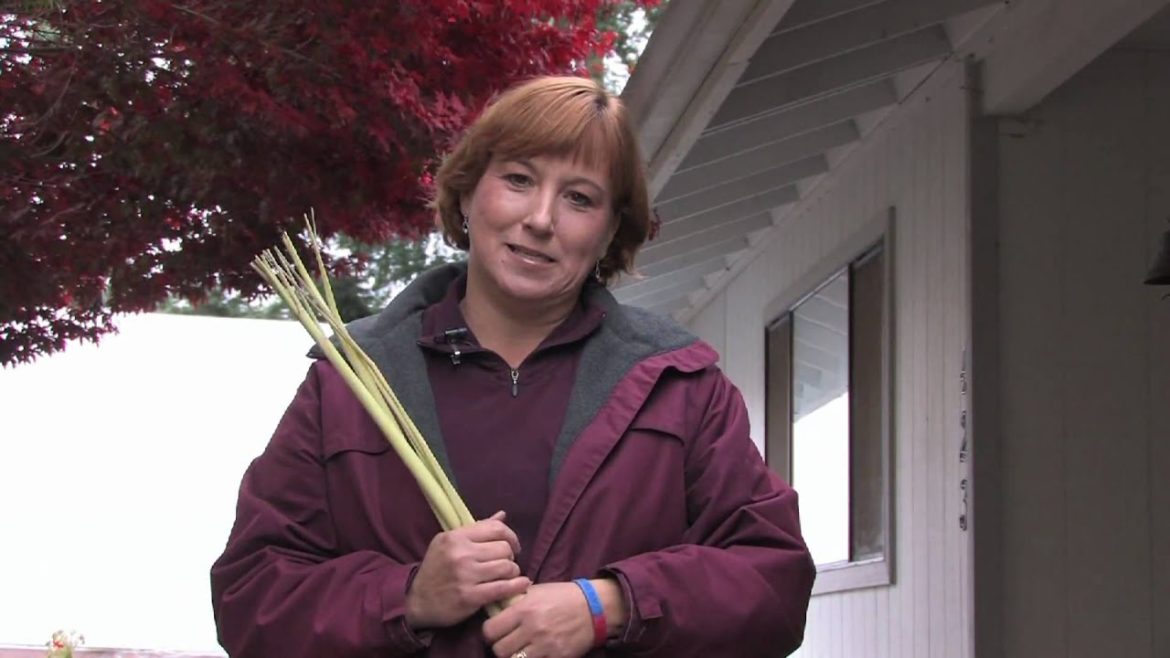 Gardening Tips : About Citronella Bracelets Gardening Tips : About Citronella Bracelets