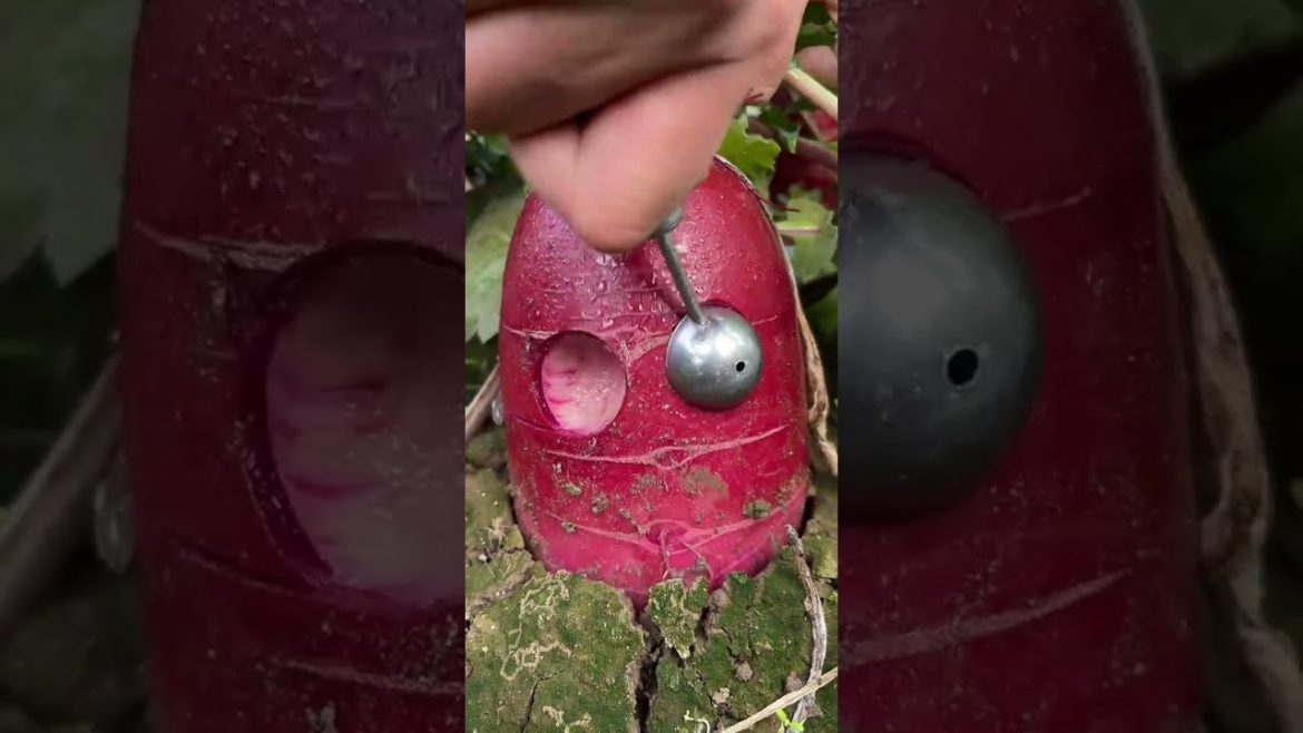 Amazing red radish cutting tool - Farm fresh ninja fruit cutting