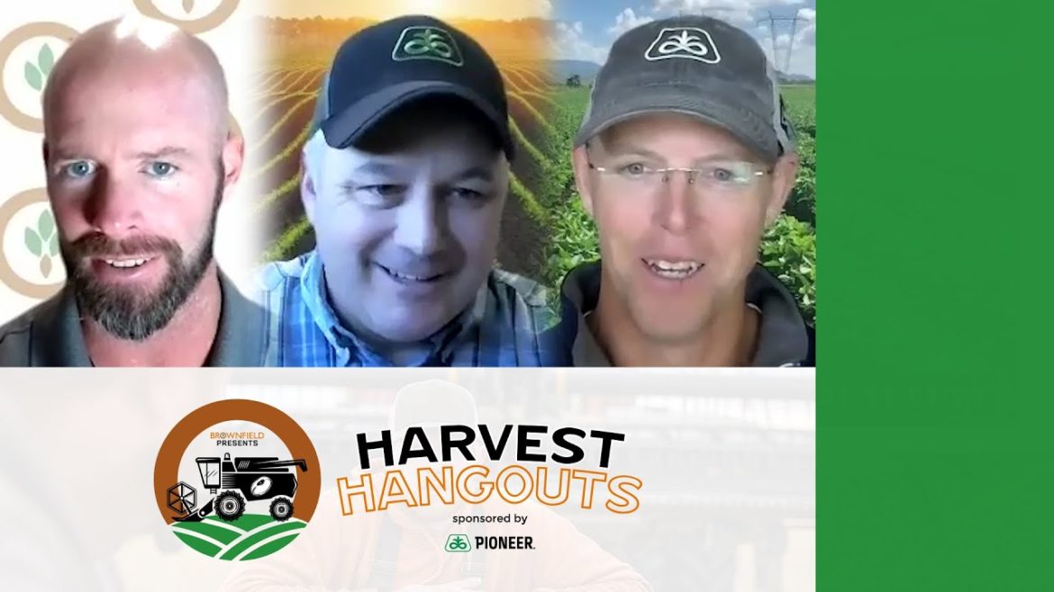 Harvest trends and insights Harvest trends and insights