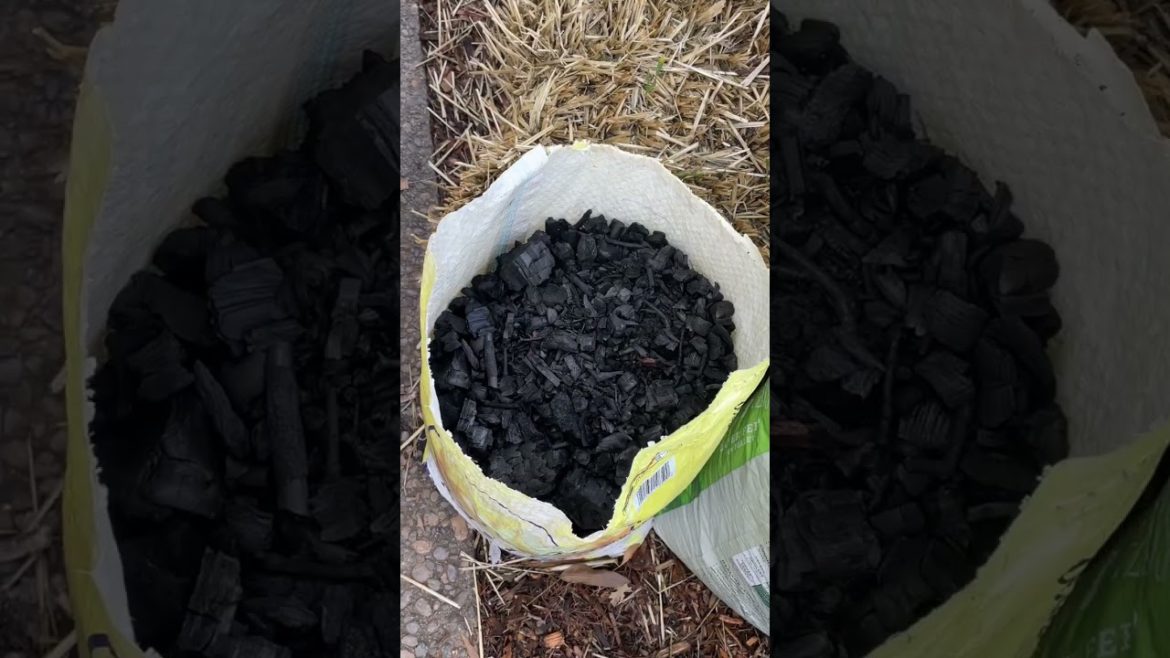 Burn Pile to BIOCHAR to woodchip garden Burn Pile to BIOCHAR to woodchip garden