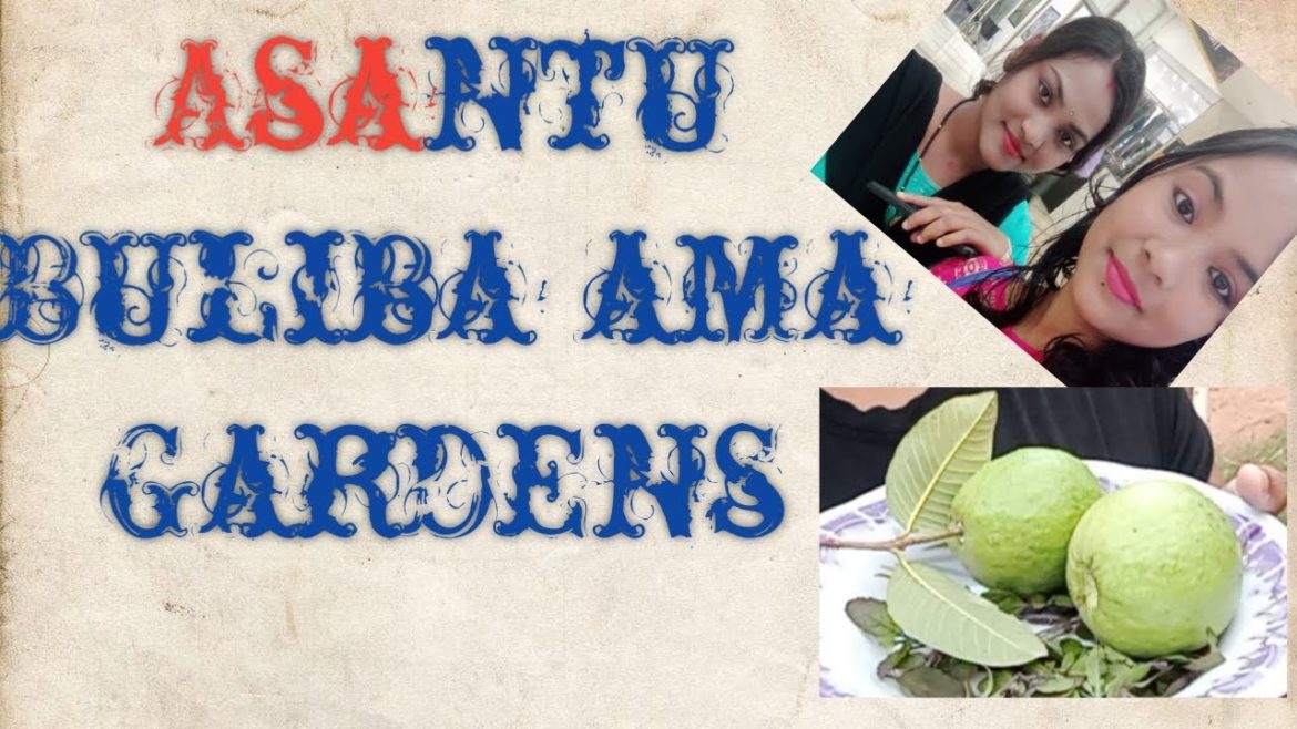 Asantu buliba ama small garden//ବାଡ଼ି ବଗିଚା//sistergoal #garden #tips #odiavlogs #villagelife