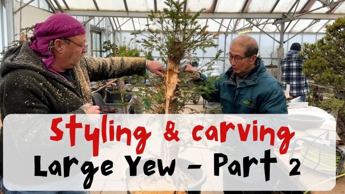 Styling and Carving Yew with Kevin Wilson – Part 2 Styling and Carving Yew with Kevin Wilson - Part 2