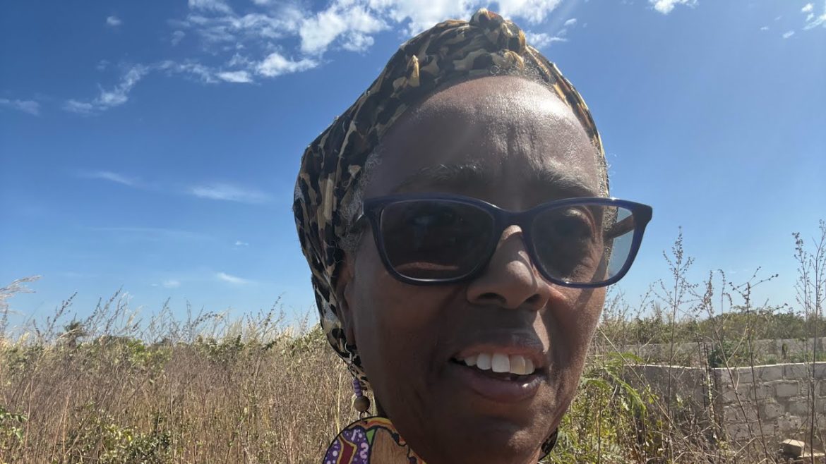 Special 2023 New Year’s Edition! HYBASIA Food Forest Project Updates !#gambia #unity #imani #kwanzaa Special 2023 New Year’s Edition! HYBASIA Food Forest Project Updates !#gambia #unity #imani #kwanzaa