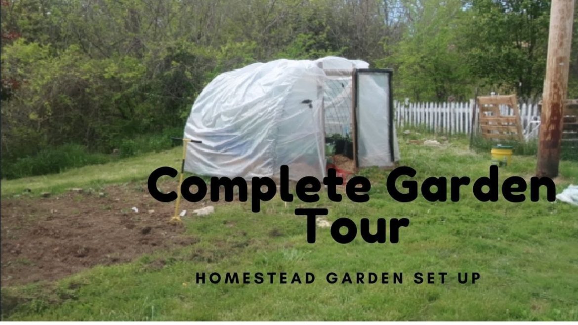 Tour Our Homestead Gardens | Row Garden, Container Garden, Greenhouse, Fruit Trees, and Berries! Tour Our Homestead Gardens | Row Garden, Container Garden, Greenhouse, Fruit Trees, and Berries!