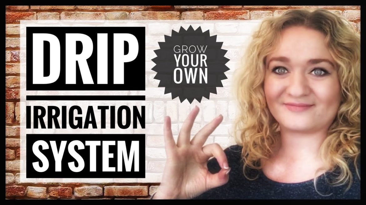 Drip Irrigation System Installation – DIY Self Watering Container Garden Drip Irrigation System Installation - DIY Self Watering Container Garden