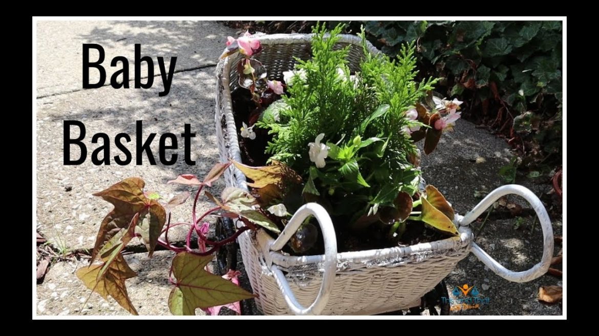 Container Garden Challenge Summer 2019 | Container Gardening Ideas
