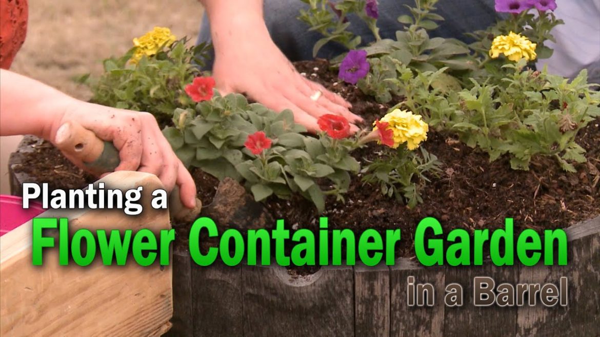Planting a Container Flower Garden — Family Plot Planting a Container Flower Garden -- Family Plot