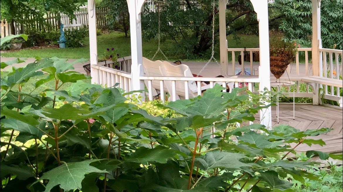 🍁Fall Gardening Tips, Zone 7.🍁