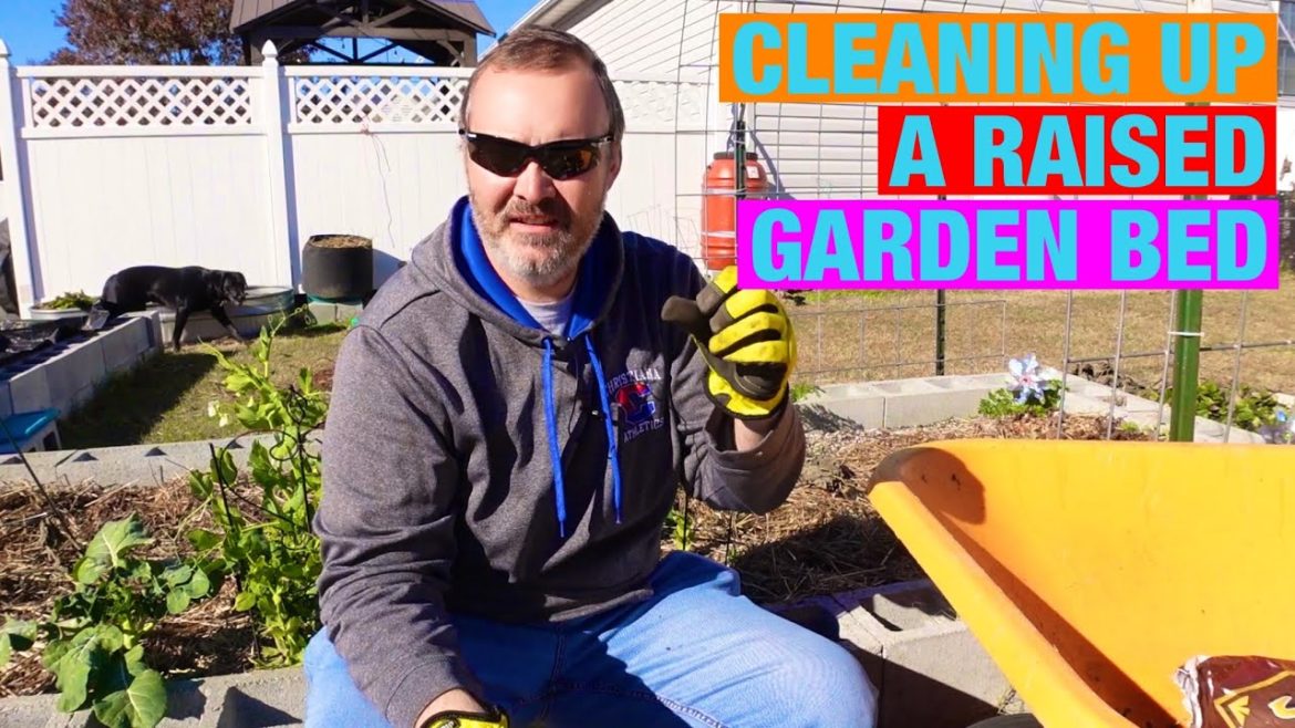 Cleaning up a raised garden bed Cleaning up a raised garden bed