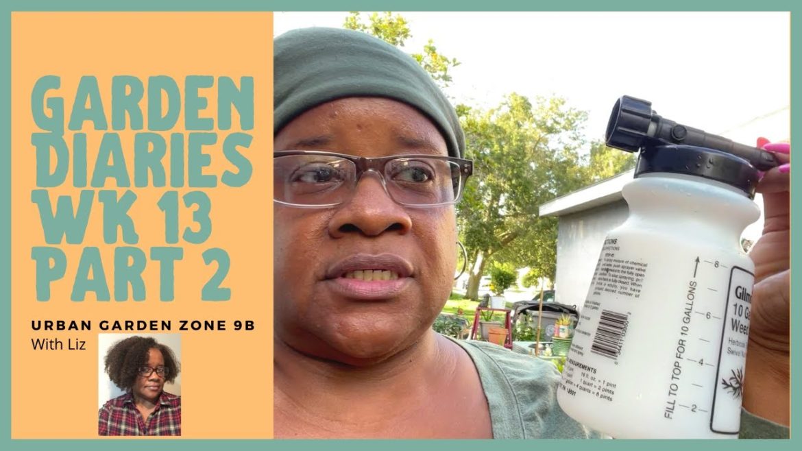 Container Garden Diaries Wk 13 Part 2 Documenting Our Garden Journey Small Space Gardening Zone 9b