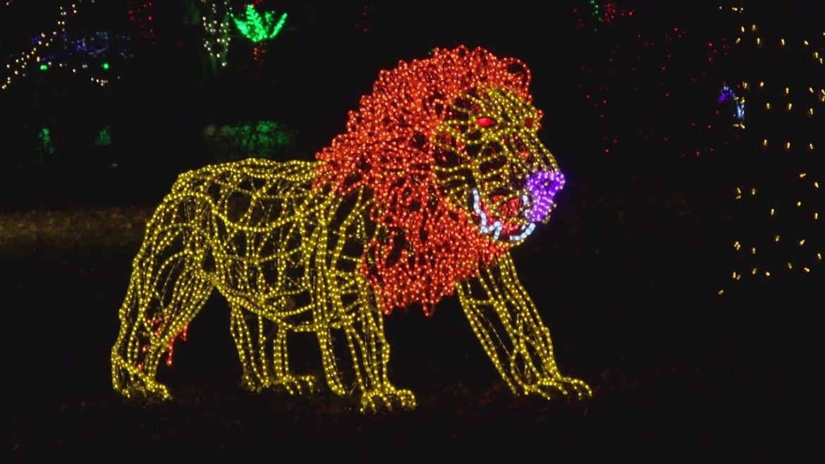 River of Lights coordinators already planning next season's festivities