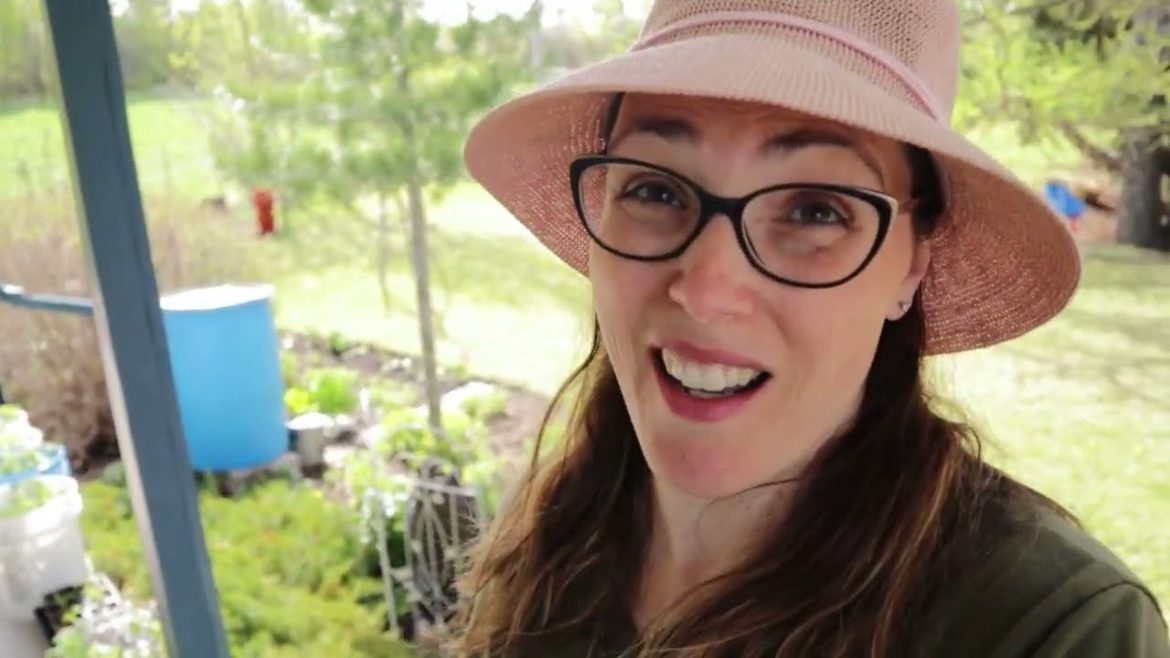 Gardening Tips and Motivation for New Gardeners Gardening Tips and Motivation for New Gardeners