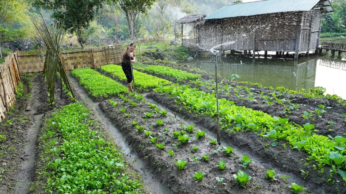 FULL VIDEO: 60 Days Build Agriculture From START TO FINISH | Sow Seeds, Gardening, Farm Life FULL VIDEO: 60 Days Build Agriculture From START TO FINISH | Sow Seeds, Gardening, Farm Life