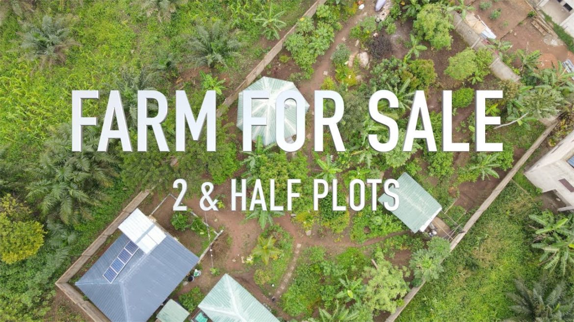 FARM FOR SALE - Mampong/Aburi mountains - LYFE with the KIING'S