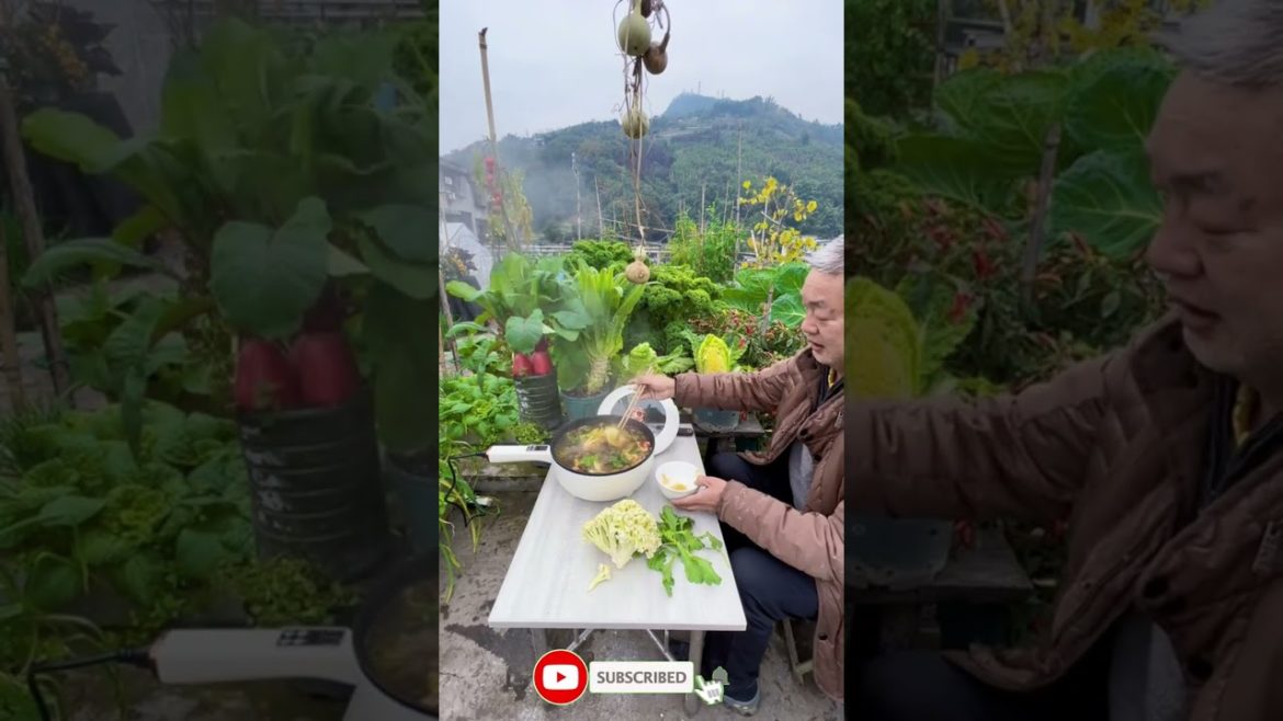 Amazing vegetable garden #shorts #satisfying