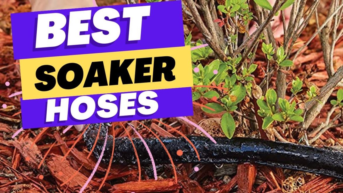 Best Soaker Hoses 2023