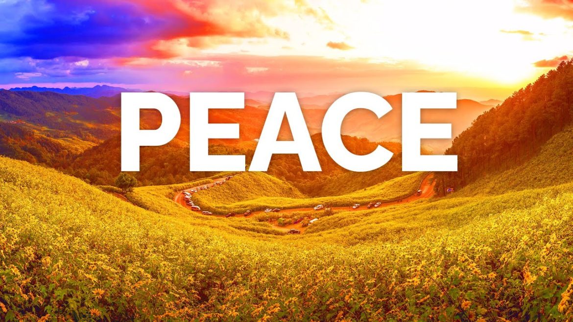 Zen Garden Music (Japanese Garden Water Sounds)