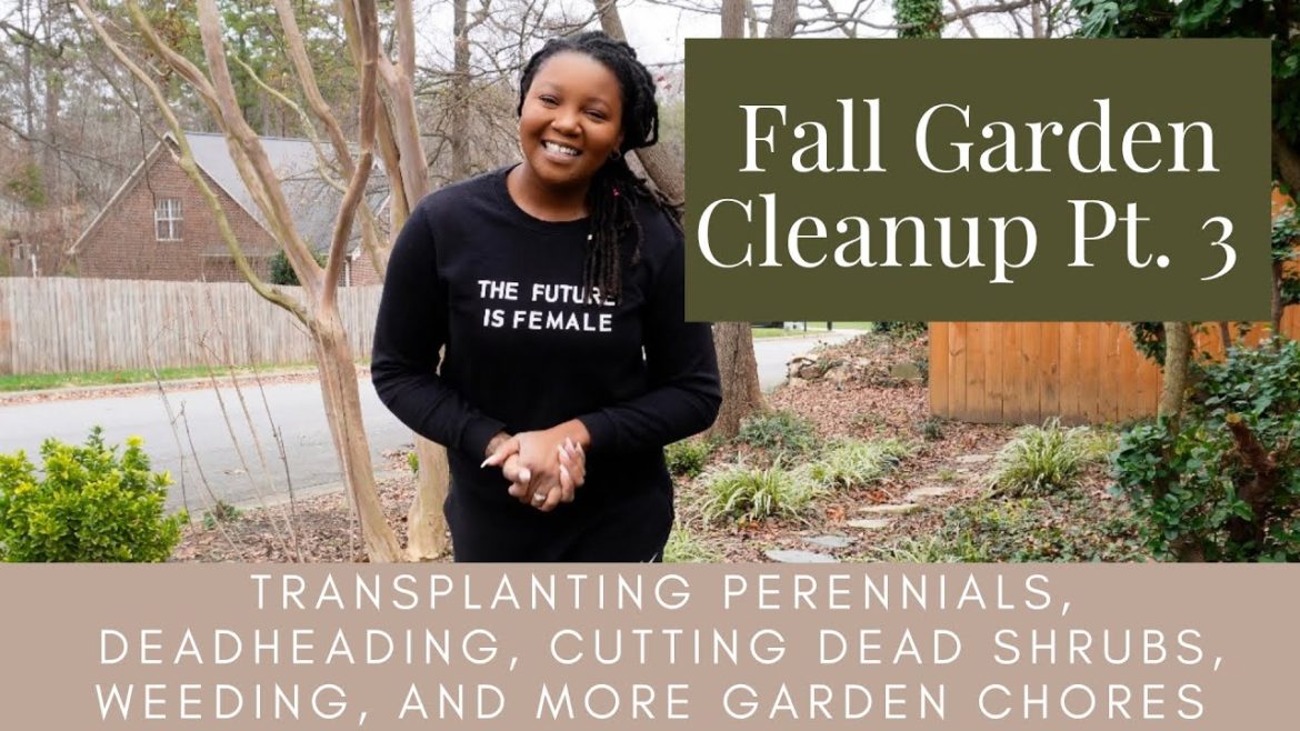 Fall Garden Cleanup Pt 3 | Transplanting Perennials, Deadheading, Remove Dead Shrubs | Prep for 2023 Fall Garden Cleanup Pt 3 | Transplanting Perennials, Deadheading, Remove Dead Shrubs | Prep for 2023
