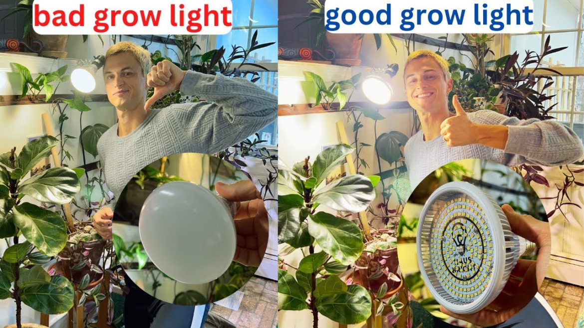 Great Grow Light Bulb for House Plants – Haus Bright Smart LED – Review Great Grow Light Bulb for House Plants - Haus Bright Smart LED - Review