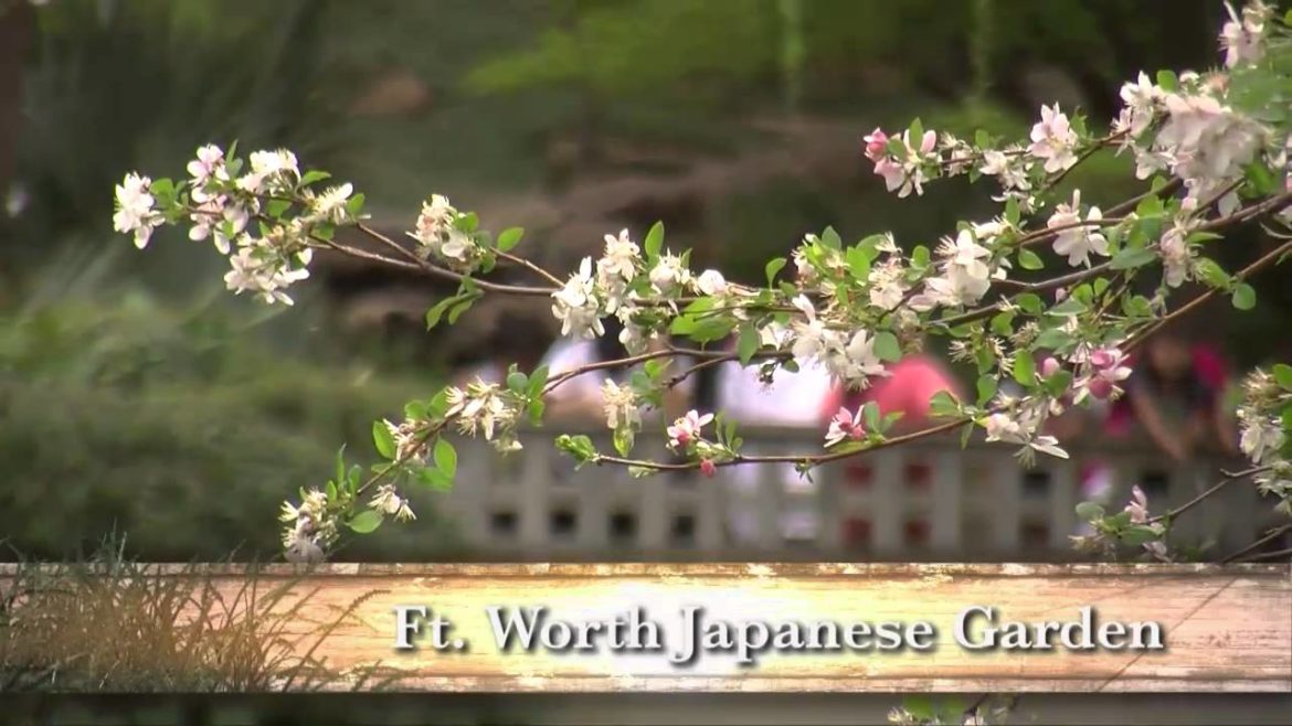 Ft. Worth Japanese Garden