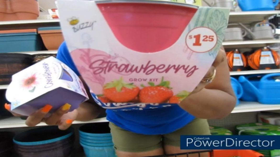 Family Dollar Gardening Supplies 1/5/2023