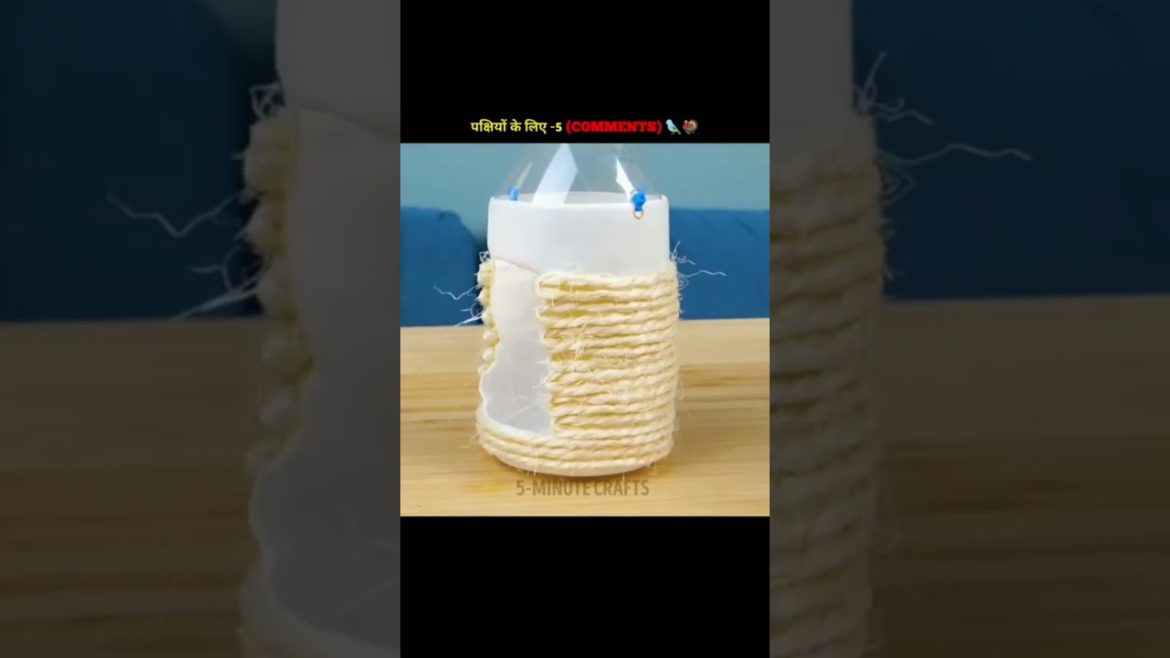 5 -minute craft make house for bird!! #shorts #5minutecrafts