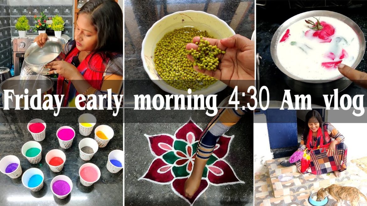 4 am friday vlog /dhideernu plan mathittanga /useful kitchen & garden tips/instant hairfall solution