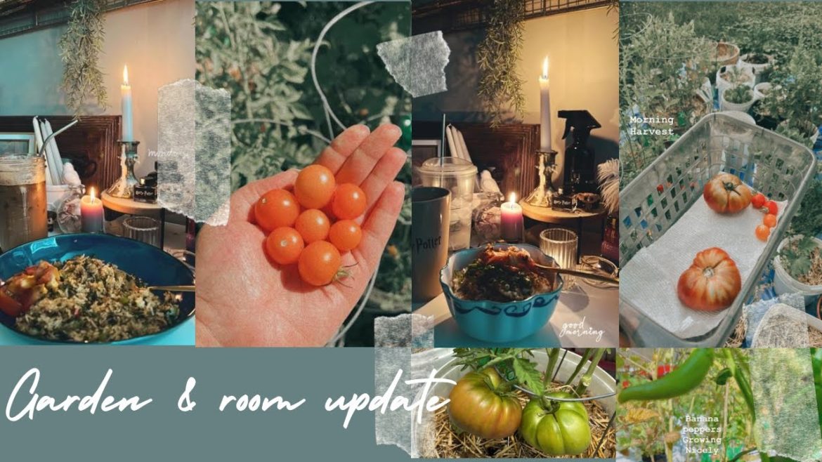 A week in the life | vlog | container garden update | ✨aesthetic✨room tour | PATRICIA A week in the life | vlog | container garden update | ✨aesthetic✨room tour | PATRICIA