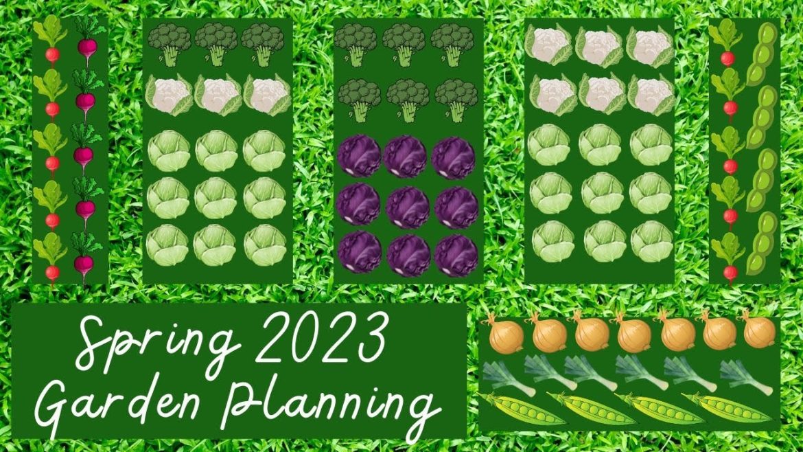 2023 Spring Garden Plan: What vegetables and flowers will I be growing?