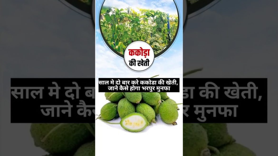 Kantola Farming #shorts