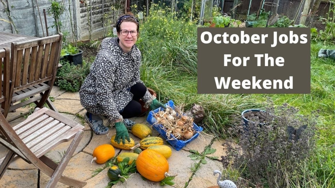 October Garden Jobs For The Weekend UK – Vegetable Gardening For Beginners At Home October Garden Jobs For The Weekend UK - Vegetable Gardening For Beginners At Home