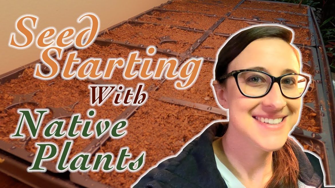 Starting Native Seeds | Container Garden with Native Plants | Small Space Gardening for Pollinators