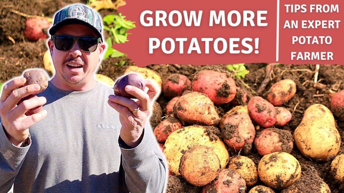 I WISH I WOULD'VE KNOWN THIS EARLIER!