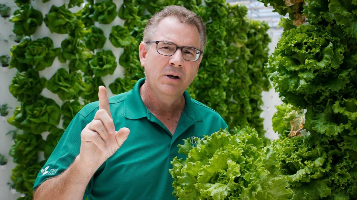 Take Control of Your Local Food Supply | True Garden Take Control of Your Local Food Supply | True Garden