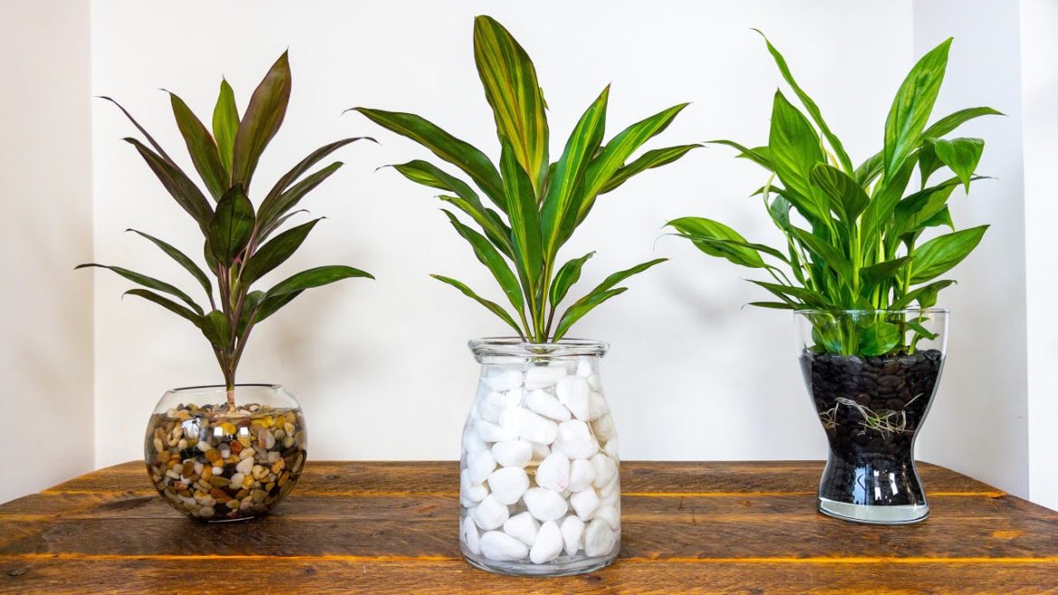 Stunning Indoor Plant Decor Ideas For Your Home