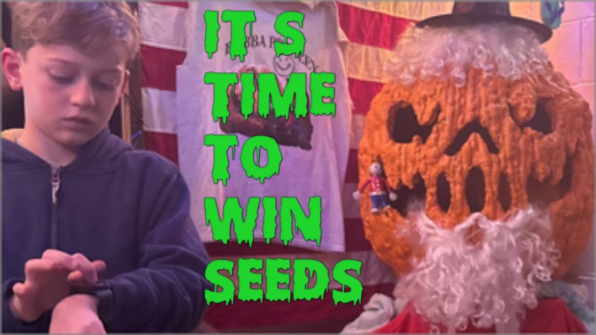Who's your Daddy Giant Pumpkin seed giveaway