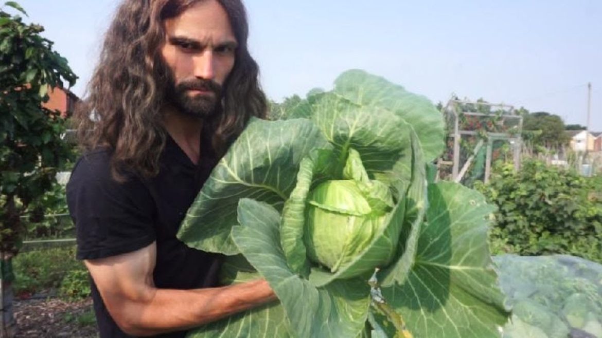 How to grow early Summer cabbage. Sow to harvest How to grow early Summer cabbage. Sow to harvest