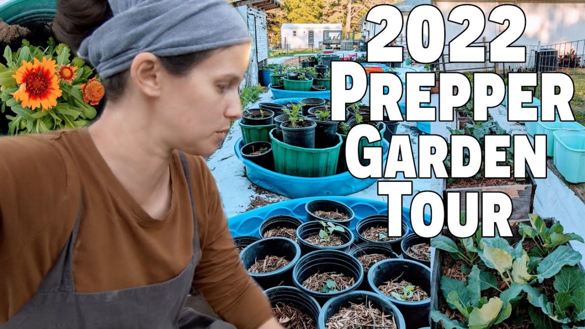 2022 Prepper “CONTAINER” Garden Tour! ~ Prepping For Mega Food Shortages ~ Plant Or Die! 2022 Prepper "CONTAINER" Garden Tour! ~ Prepping For Mega Food Shortages ~ Plant Or Die!