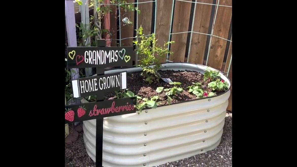 How To Build A Garden Bed For Vegetable Gardening