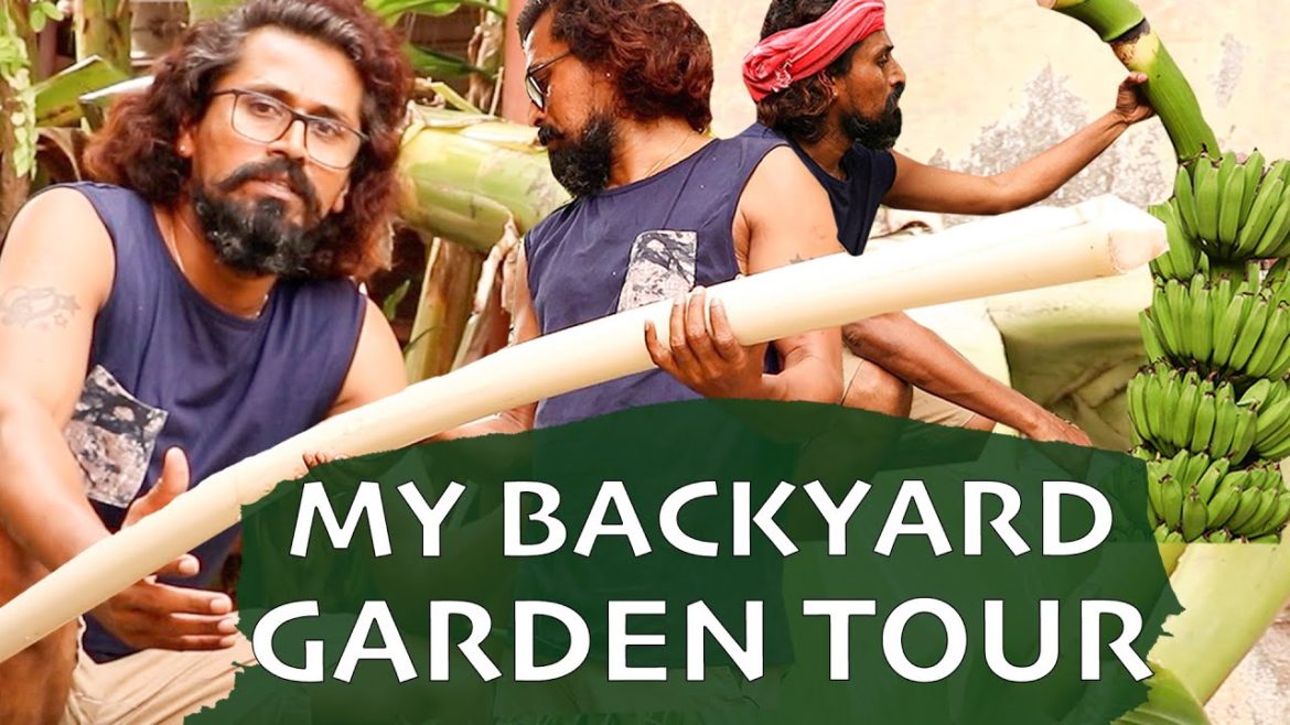 My Backyard Garden Tour ft. VJ Andrews🏡👩‍🌾