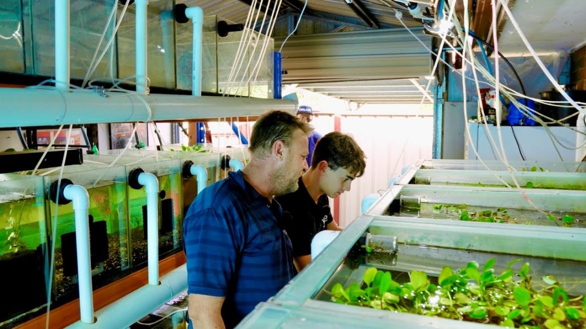 Home Garage Into Shrimp Breeding System | In Depth Tour Home Garage Into Shrimp Breeding System | In Depth Tour
