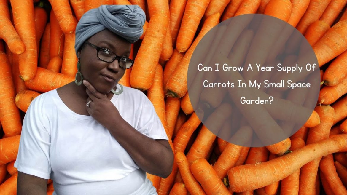Can I Grow A Year Supply Of Carrots In My Small Space Garden? – #YearSupplyChallenge Can I Grow A Year Supply Of Carrots In My Small Space Garden? - #YearSupplyChallenge