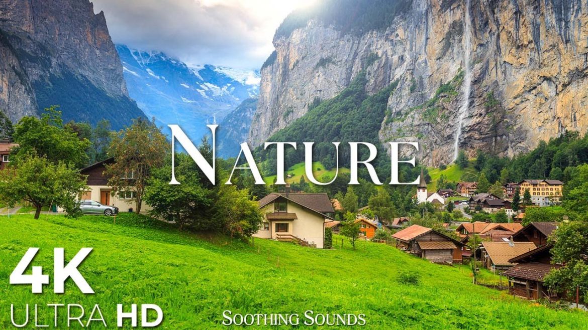 Relaxing Music with Beautiful Nature Landscape – Healing Music to Relieve Stress, Study, Sleep Relaxing Music with Beautiful Nature Landscape - Healing Music to Relieve Stress, Study, Sleep