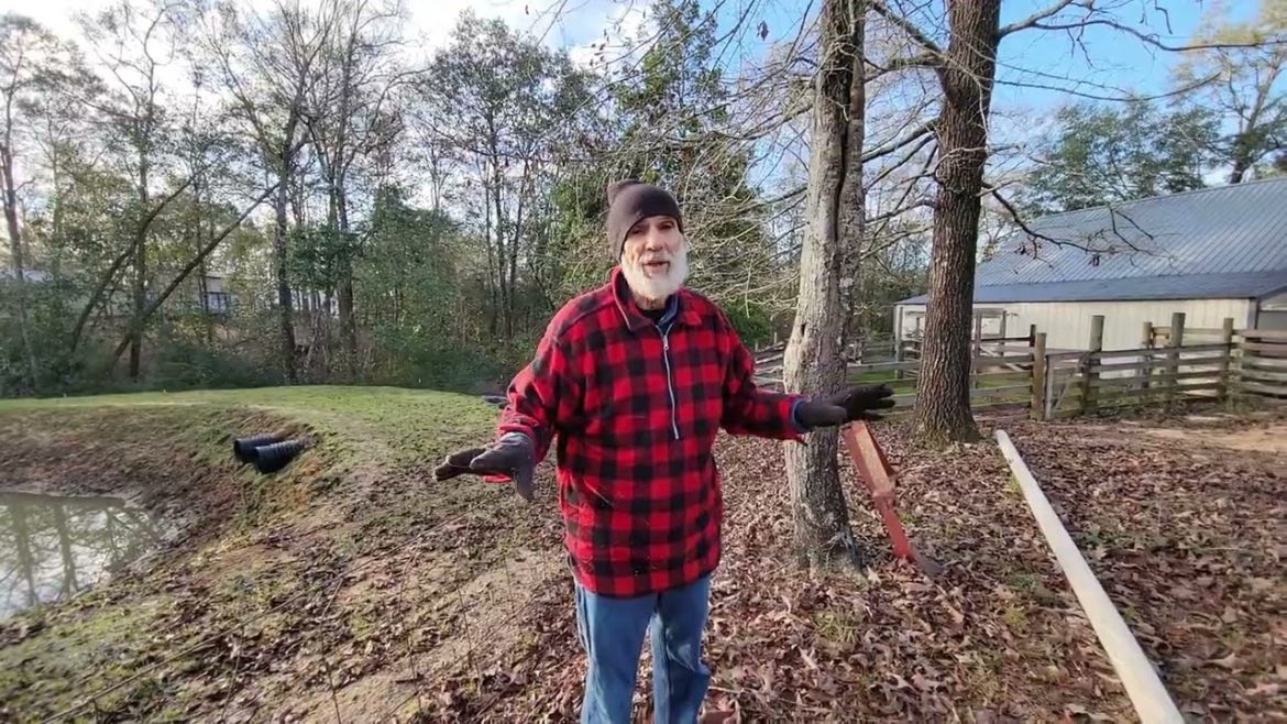 3 Reasons to Grow Red Crimson Clover