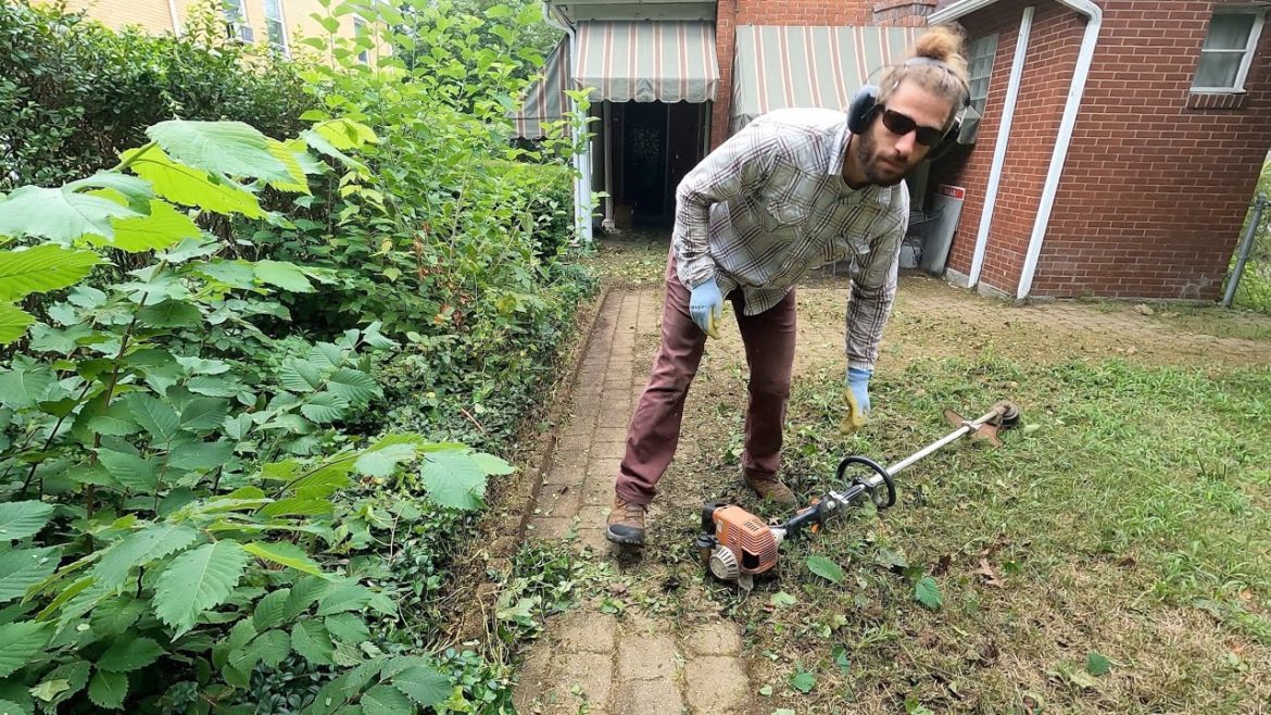 Overgrown Backyard Weed Eating | Very Satisfying