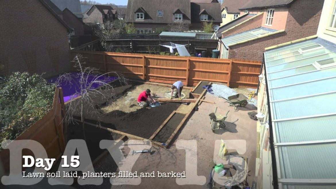 Canonbury Garden Landscaping