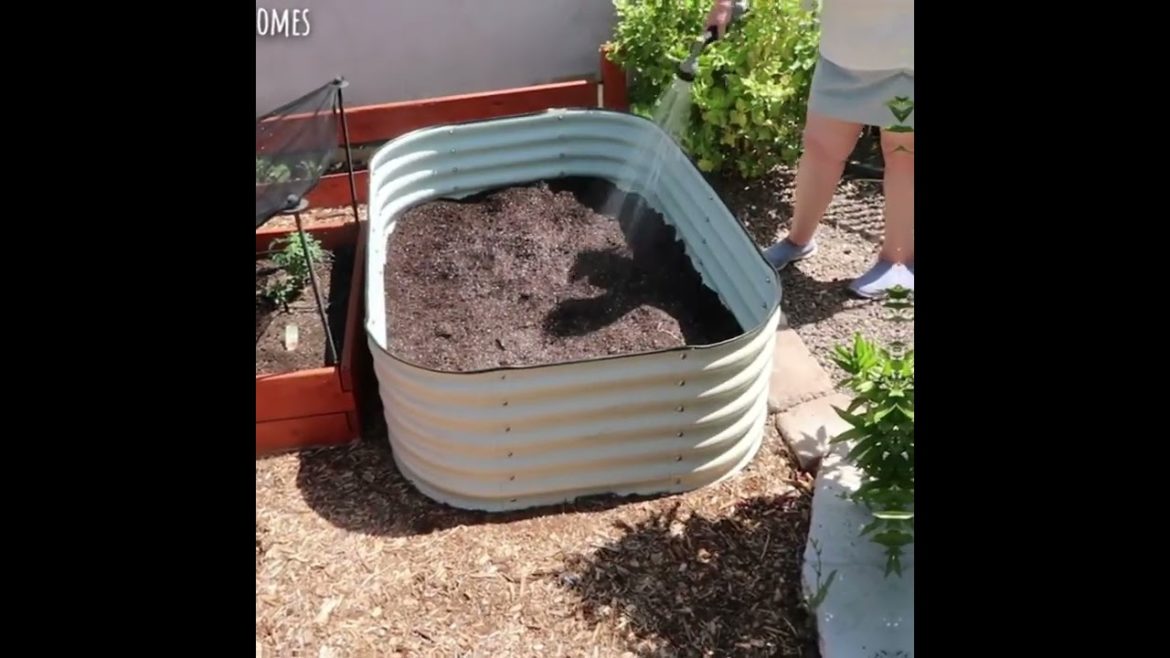 The Benefits of Owning an All-Metal Raised Garden Bed