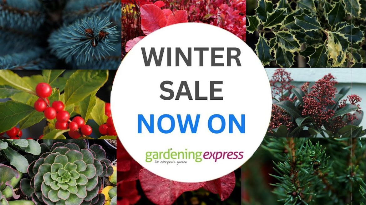 Winter Sale Now On! – Gardening Express Winter Sale Now On! - Gardening Express