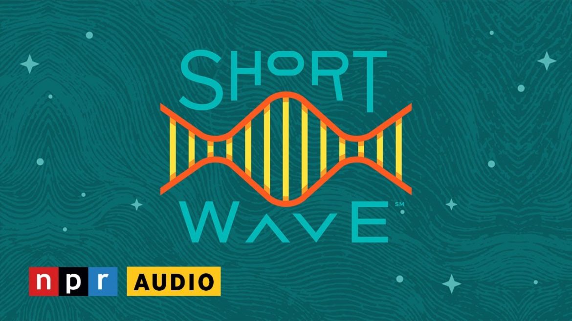 NASA Astronaut Explains Research Happening On The International Space Station | Short Wave NASA Astronaut Explains Research Happening On The International Space Station | Short Wave