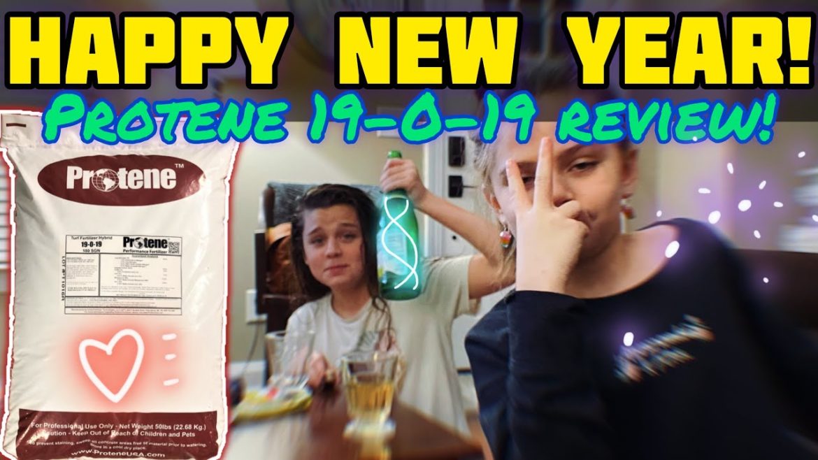 New Year, Same Gorgeous Green Lawn!